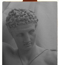 Alighieri-MAN-13