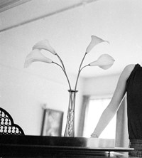 Siouxsie 5006