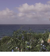 Louis Vuitton Spring/Summer 2020 Campaign Viviane Sassen