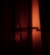 ICA These New Puritans Inside Rose 2019 George Jack Barnett