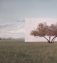 Myoung Ho Lee_Tree... #2_2012