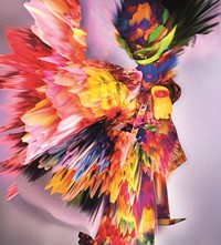 Nick Knight fashion photography Kate Moss Sky Ferreira Whish