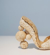 5. Kristel Peters, ‘Mycoschoen’, courtesy of the a