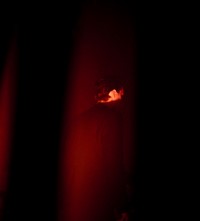 ICA These New Puritans Inside Rose 2019 George Jack Barnett