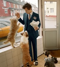 Harry Styles for Gucci Tailoring Campaign model 2018