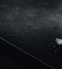 Nick Cave performing fan photos Another Man magazine 2018