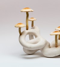 8. Hamish Pearch, ‘Cochlea Brick Tuft’, courtesy o