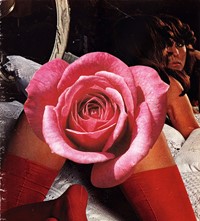 Linder Sterling feminist art porn punk Goddess Who Bewitches