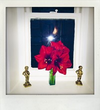 Nick Cave Polaroids archive Another Man magazine Susie 