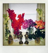 Nick Cave Polaroids archive Another Man magazine Susie 