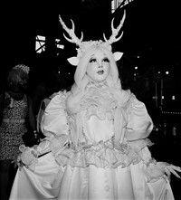 Bushwig2019_antlers