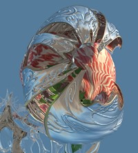 Helin Şahin - Dual Nature