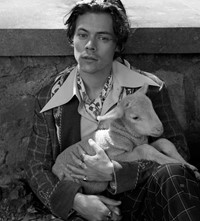 Harry Styles Gucci campaign ad 2018 Another Man fashion