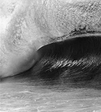 Anthony Friedkin Daniel Cooney surf photography exhibition