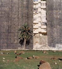 Yto Barrada_Terrain Vague - Tanger (Vacant Lot - T