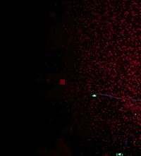 Barclay Bram Clubbing Alone