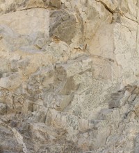 Foreign Sands Ben Soedira Photographer Dubai 2019