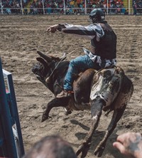 Angola Prison Rodeo Travis Gillett interview 2018 inmates