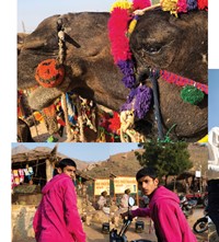 Nick Sethi photographer Grace Wales Bonner India Rajasthan