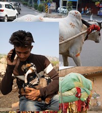 Nick Sethi photographer Grace Wales Bonner India Rajasthan