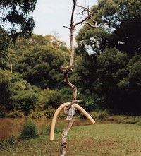 Northern Rivers Lola &amp; Pani Hempstead May Gallery London