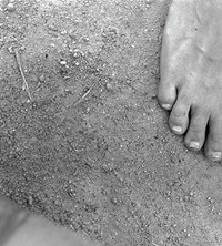 Ligon Beach Frame 20