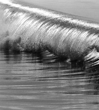 Anthony Friedkin Daniel Cooney surf photography exhibition