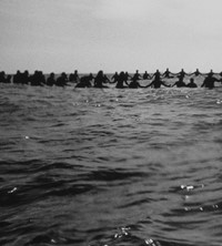 Anthony Friedkin Daniel Cooney surf photography exhibition