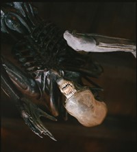 HR Giger Museum