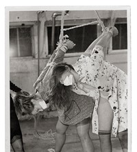 S&amp;M erotic photography vintage 1970s Kane book 2018