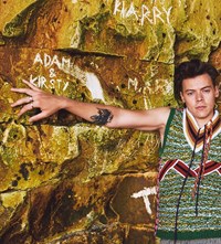 Harry Styles, Ryan McGinley, Another Man Magazine