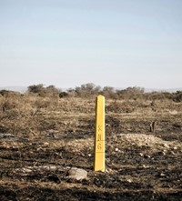 Thabiso Sekgala; Homeland, Landmark, Troya, former