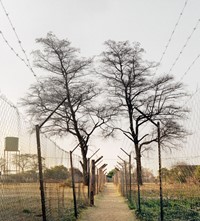 Thabiso Sekgala; Homeland, Pankop, Passage dividin