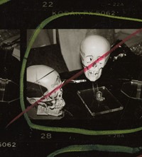 10-2014.43.2892_detail_Stuart_Pivar_skulls