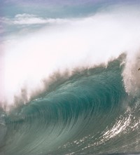 Jeff Divine: 70s Surf Photographs 