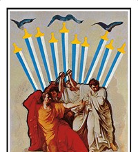 Salvador Dalí Tarot Deck Cards Taschen book 2019