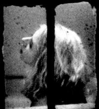 Merry Alpern Dirty Windows stripper erotic photography