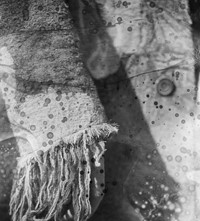 Romance Ritual Michael James Fox photography film