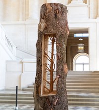 Giuseppe Penone_Albero Porta - CedroDoor Tree - Ce