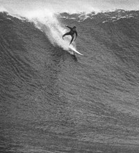 Anthony Friedkin Daniel Cooney surf photography exhibition