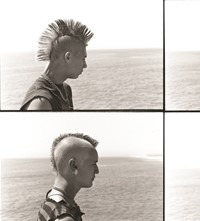 Mohawk Diptych pier 1