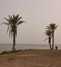 Taghazout photo Series Vincent Le Chapelain Morocco surfers