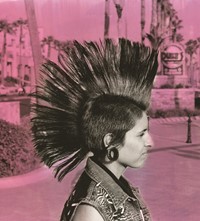 Painted mohawk