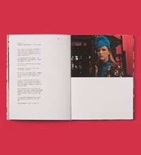 Disturbia Peter Schlesinger Gucci book Dario Argento intervi