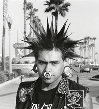 Templeton_SpikesNoesEarsHB