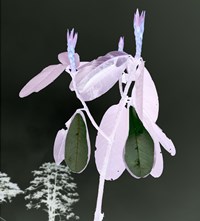 SHE Viviane Sassen exhibition 2017 interview Another Man