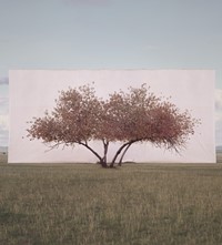 Myoung Ho Lee_Tree... #2_2012