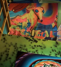Hysterical Gary Card Exhibition 2019 Phillips Gallery