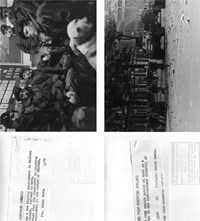 Punk Troubles: Northern Island