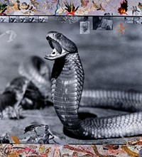 Peter Beard Kim Jones Interview Book 2020